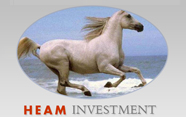 heam investment