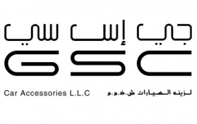 logo option plain color gsc